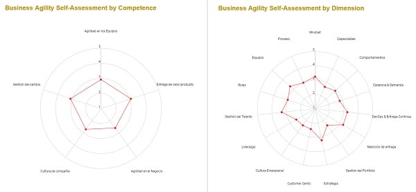 Business Agility Assessment